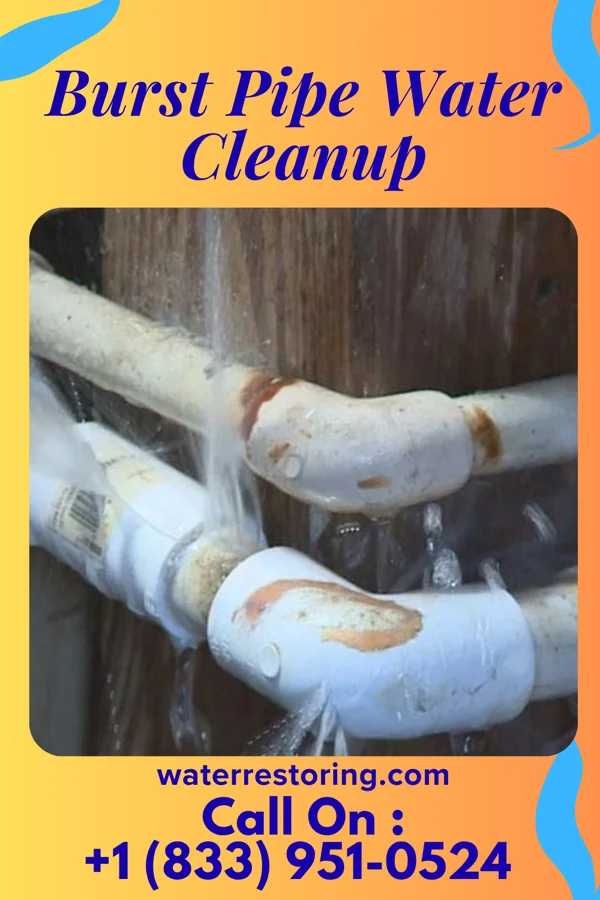 Burst Pipe Water Cleanup in Orting, WA