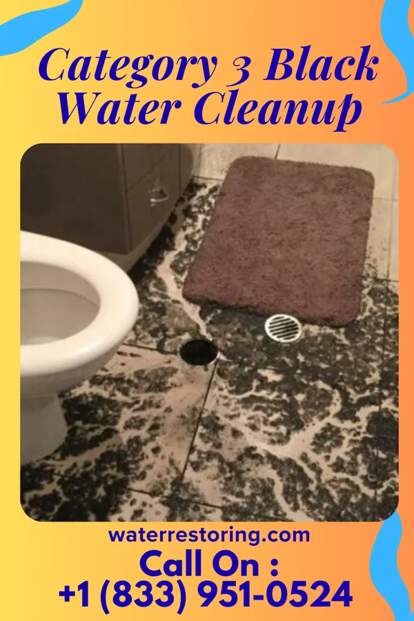 Category 3 Black Water Cleanup in Orting, WA