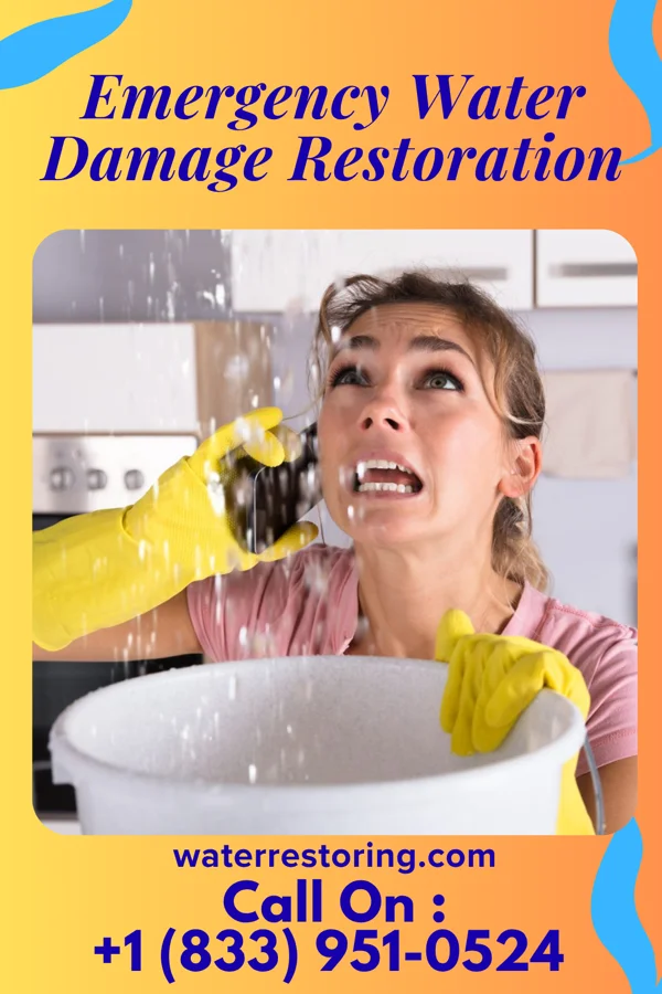 Emergency Water Damage Restoration in Orting, WA